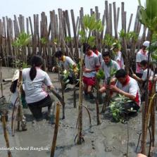 Community Service Mangrove Planting (Year 13)